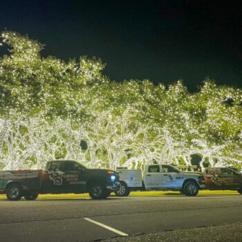 WhatsApp Image 2026-03-11 at 8.35.14 AM (5)